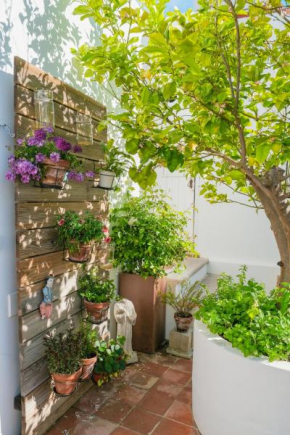 São Paulo Boutique Hotel - SPBH, Tavira
